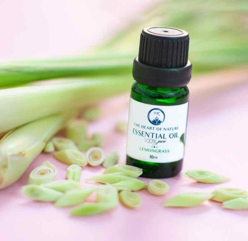 L’efficacité de la Citronnelle et de l’Eucalyptus Citronné en diffusion Newstube L’efficacité de la Citronnelle et de l’Eucalyptus Citronné en diffusion Newstube