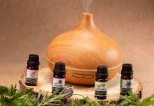 Quelles huiles essentielles utiliser contre les moustiques ? Quelles huiles essentielles utiliser contre les moustiques ? Newstube