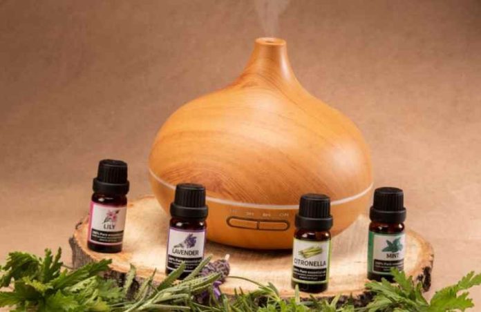 Quelles huiles essentielles utiliser contre les moustiques ? Newstube Quelles huiles essentielles utiliser contre les moustiques ? Newstube